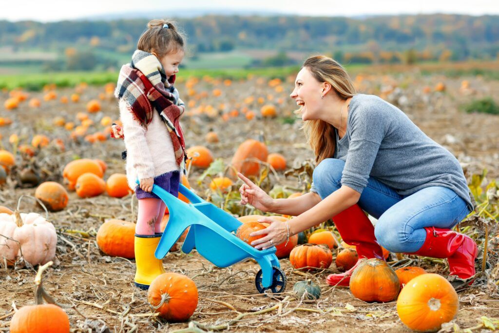 Family-Friendly Fall Activities in Your Neighborhood