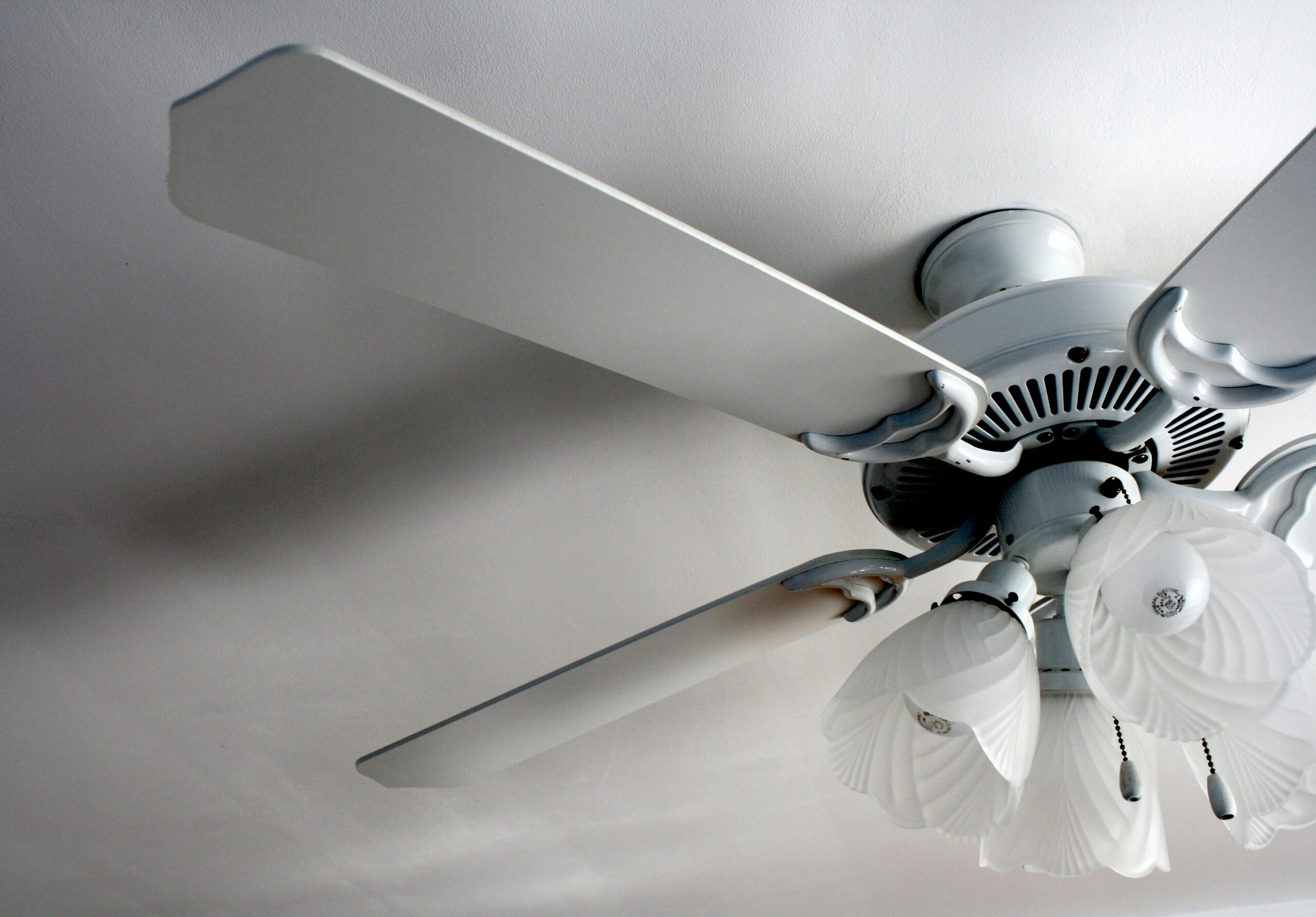 A low-angle shot looking up at a classic white ceiling fan mounted on a clean, light-colored ceiling. The fan features five wide white blades and an elegant, vintage-style light fixture underneath with five frosted glass shades shaped like blooming flowers.
